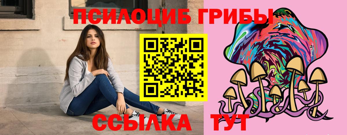 Галлюциногенные грибы Psilocybine cubensis  Вход с VPN  дарнет шоп  Отрадный 